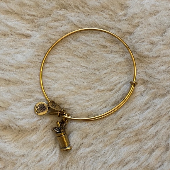 Alex and Ani Jewelry - Alex & Ani Mint Julep Bracelet